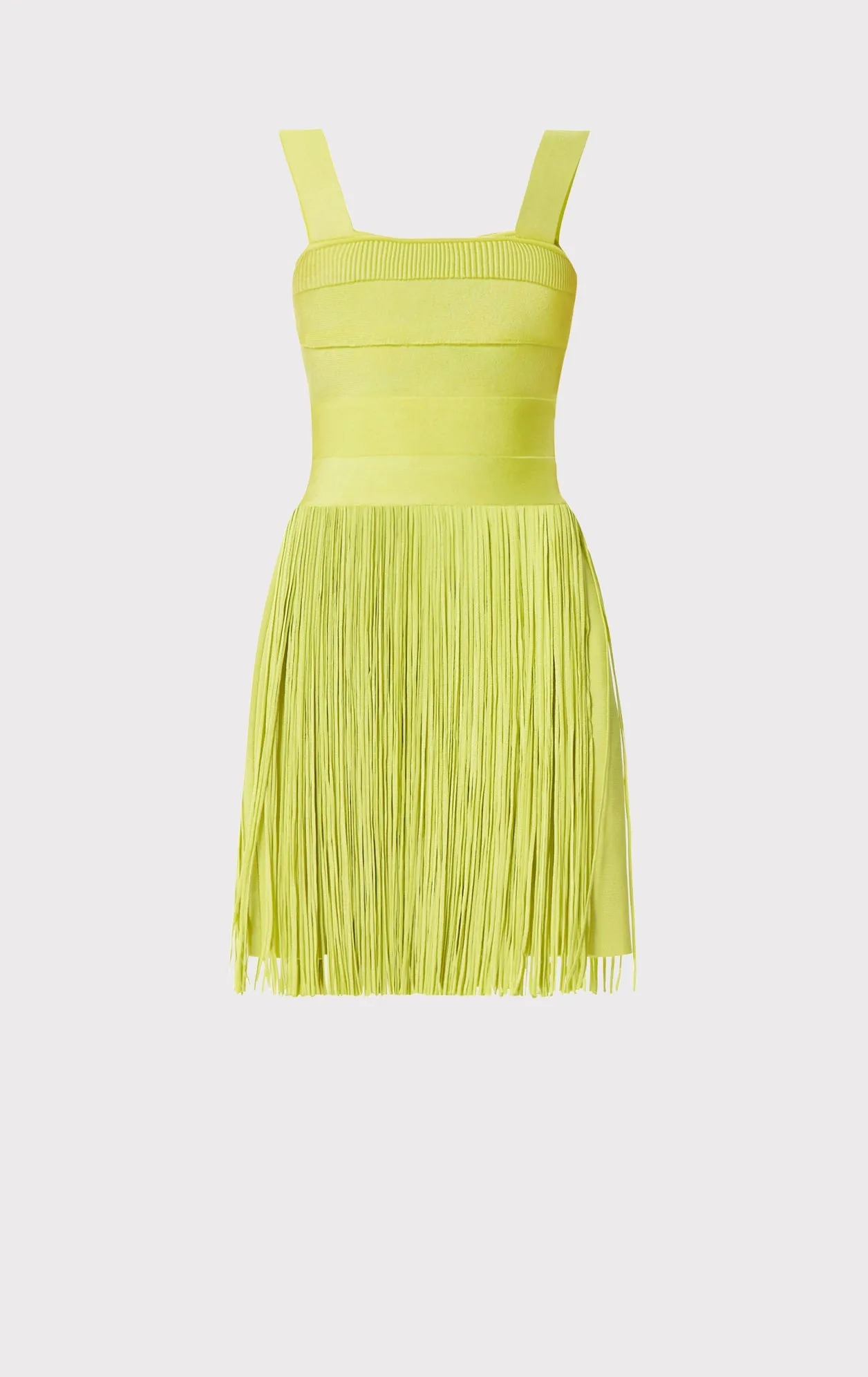 BUSTIER FRINGE MINI DRESS