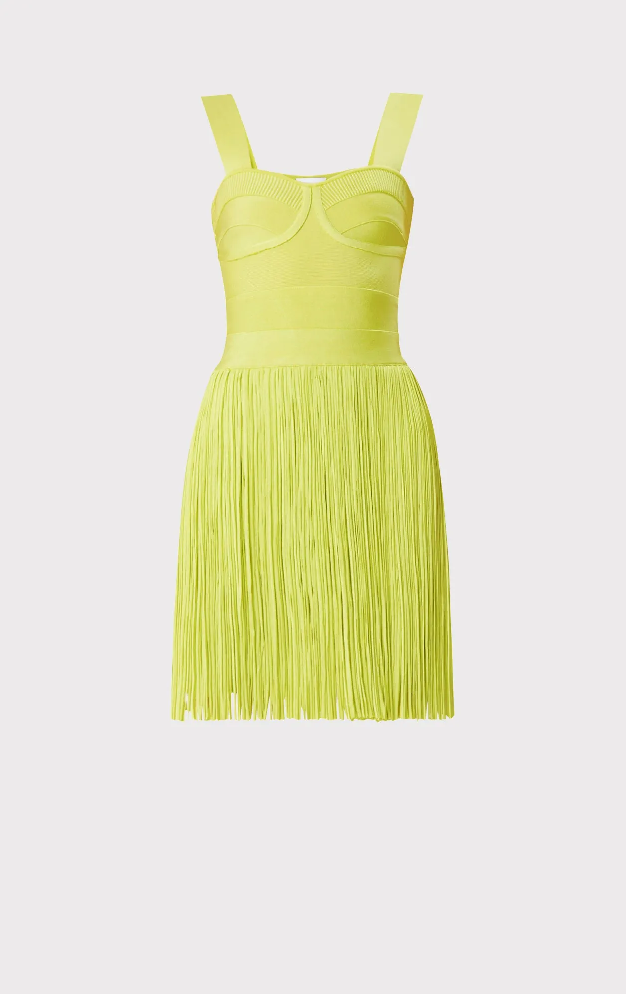 BUSTIER FRINGE MINI DRESS