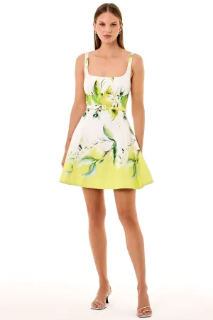 ELENI DRESS - ANISA IVORY LEMON