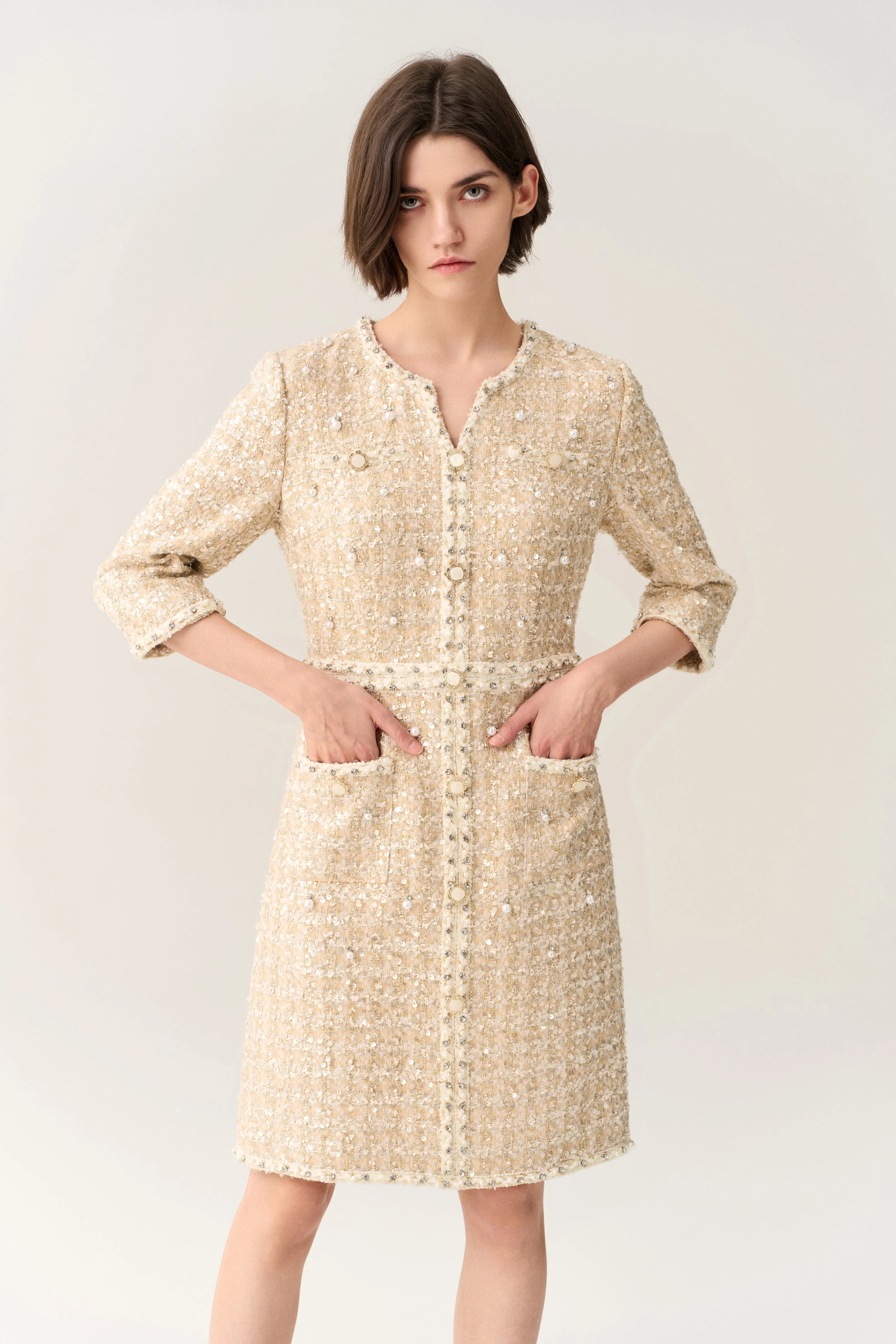 Three-quarter Sleeve Embellished Tweed Dress