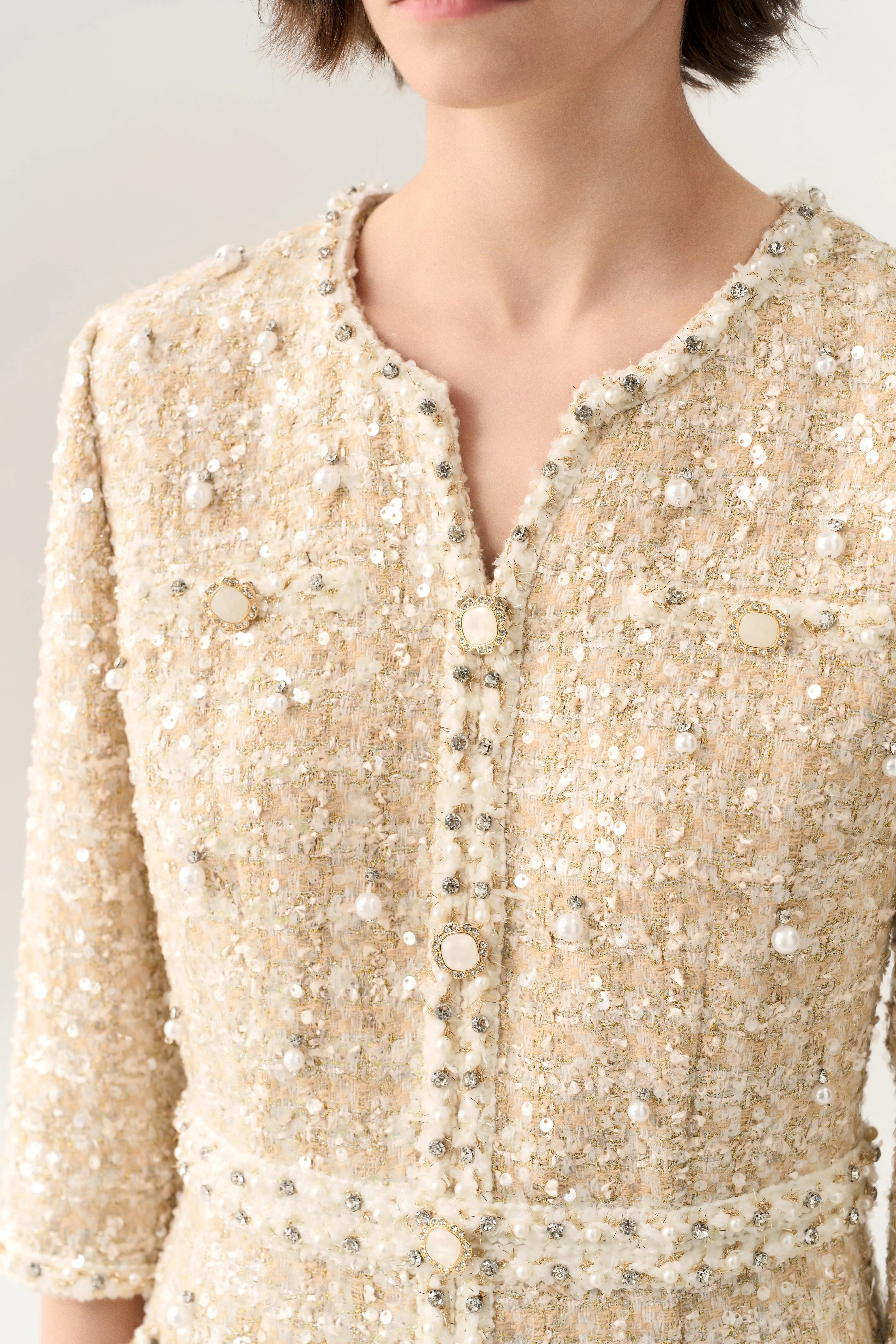 Three-quarter Sleeve Embellished Tweed Dress
