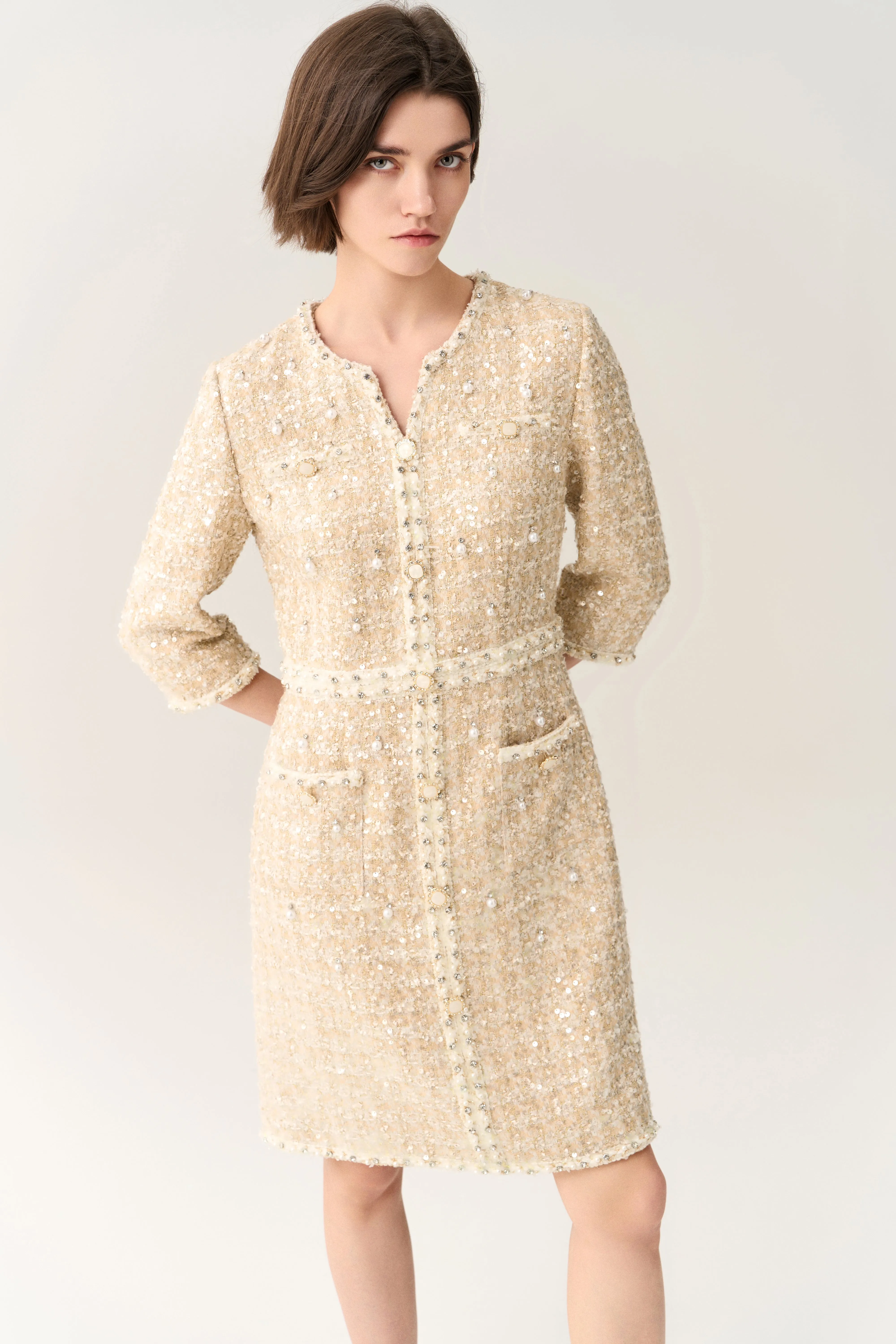 Three-quarter Sleeve Embellished Tweed Dress
