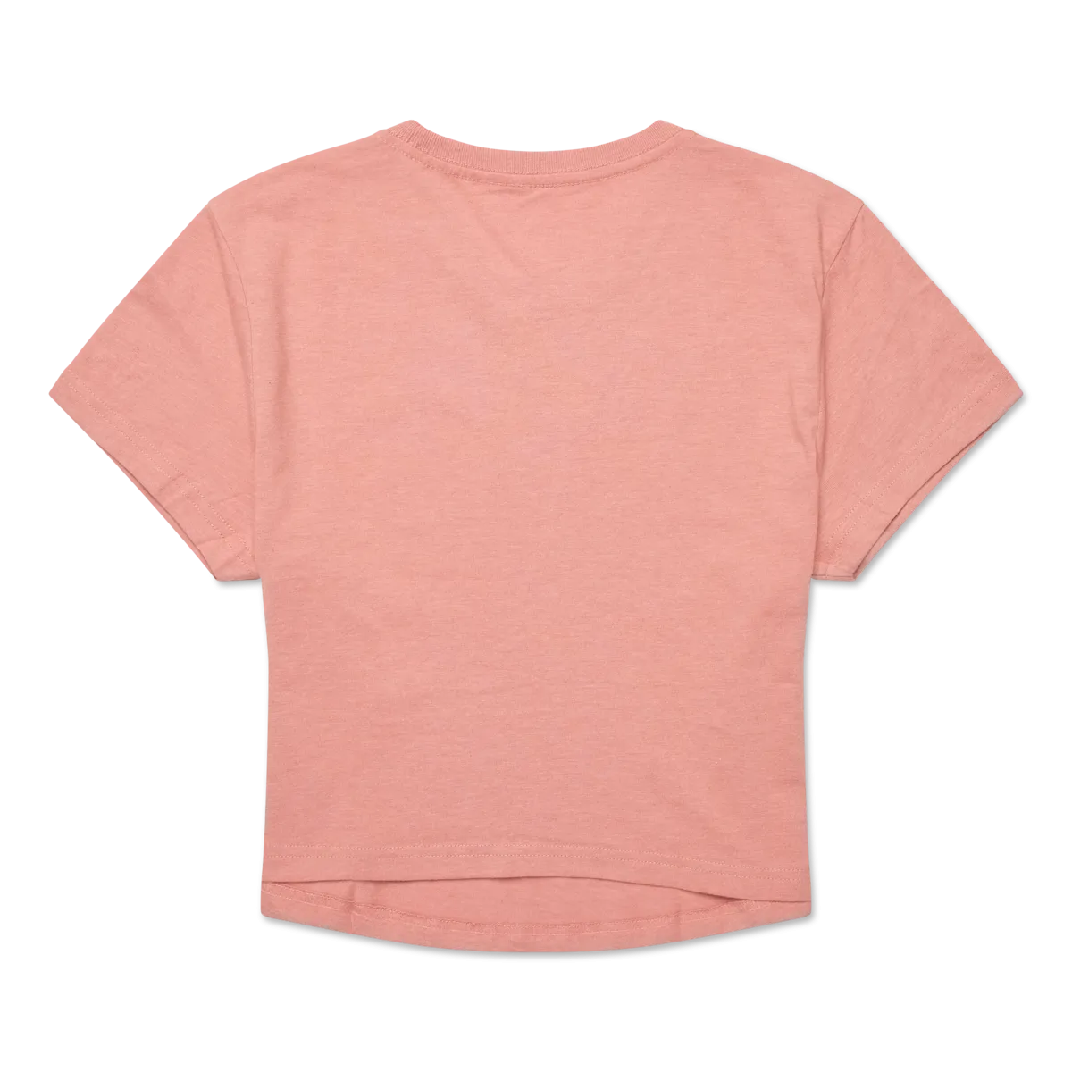 Tiny Llama Crop T-Shirt - Women's