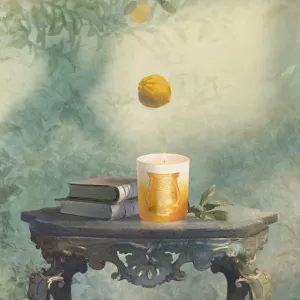 Trudon DE ORO Scented Candle